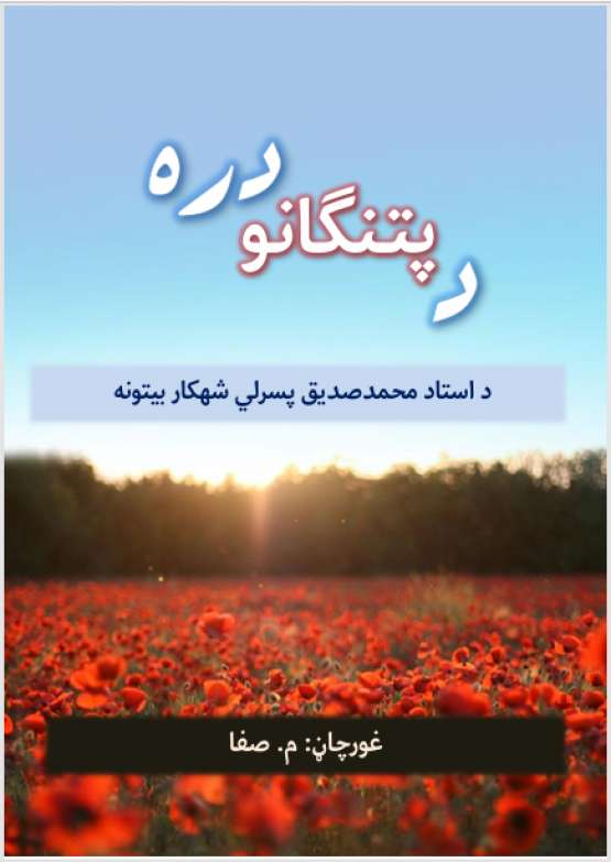 Book Cover