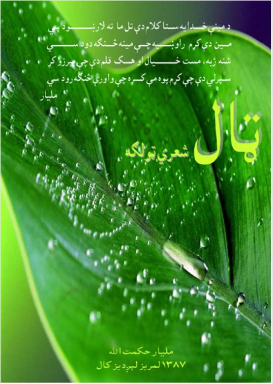 Book Cover