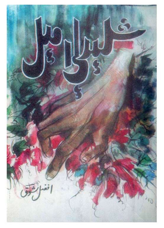 Book Cover